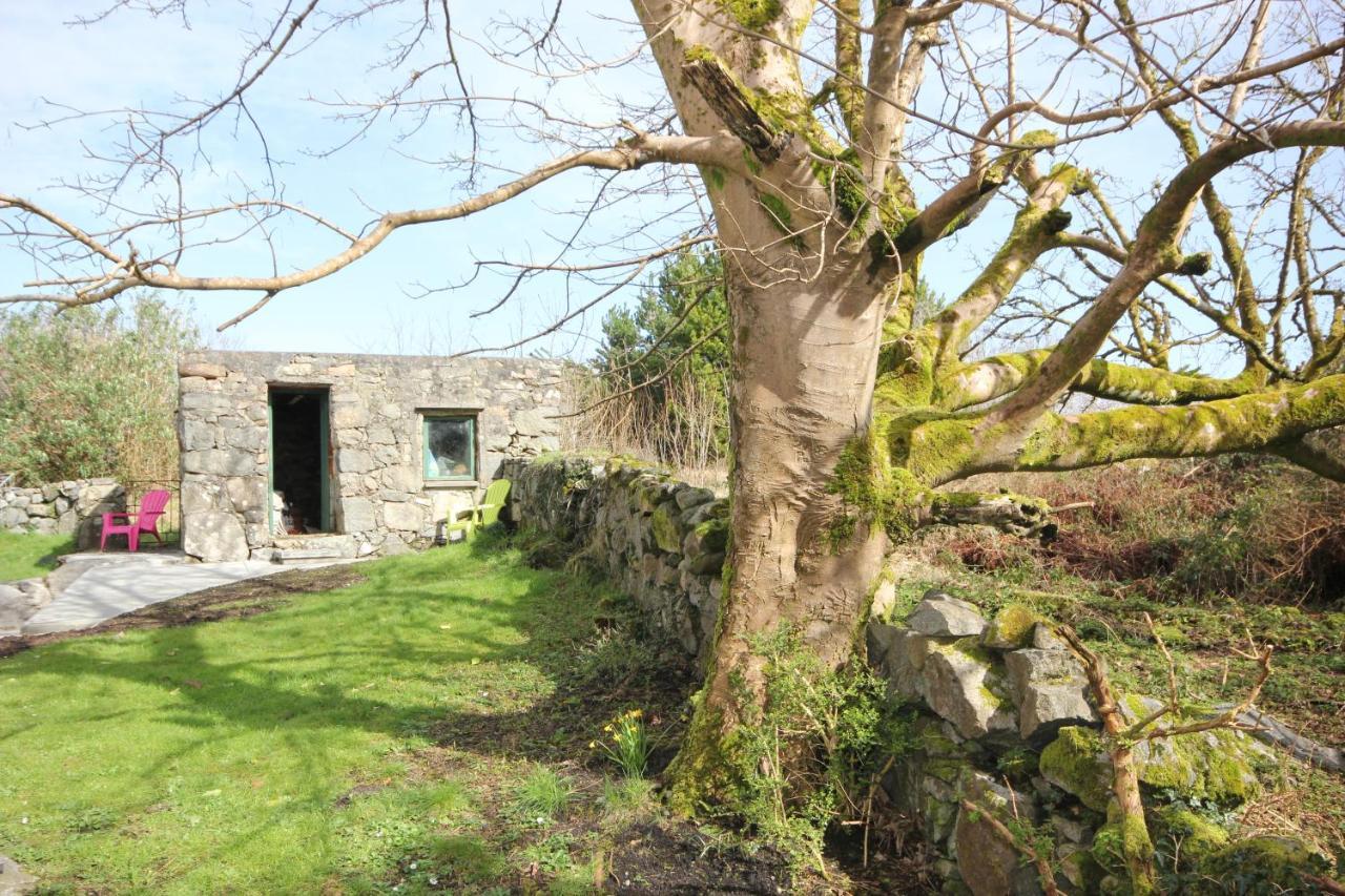Atlantic Way Cottage Galway Eksteriør billede