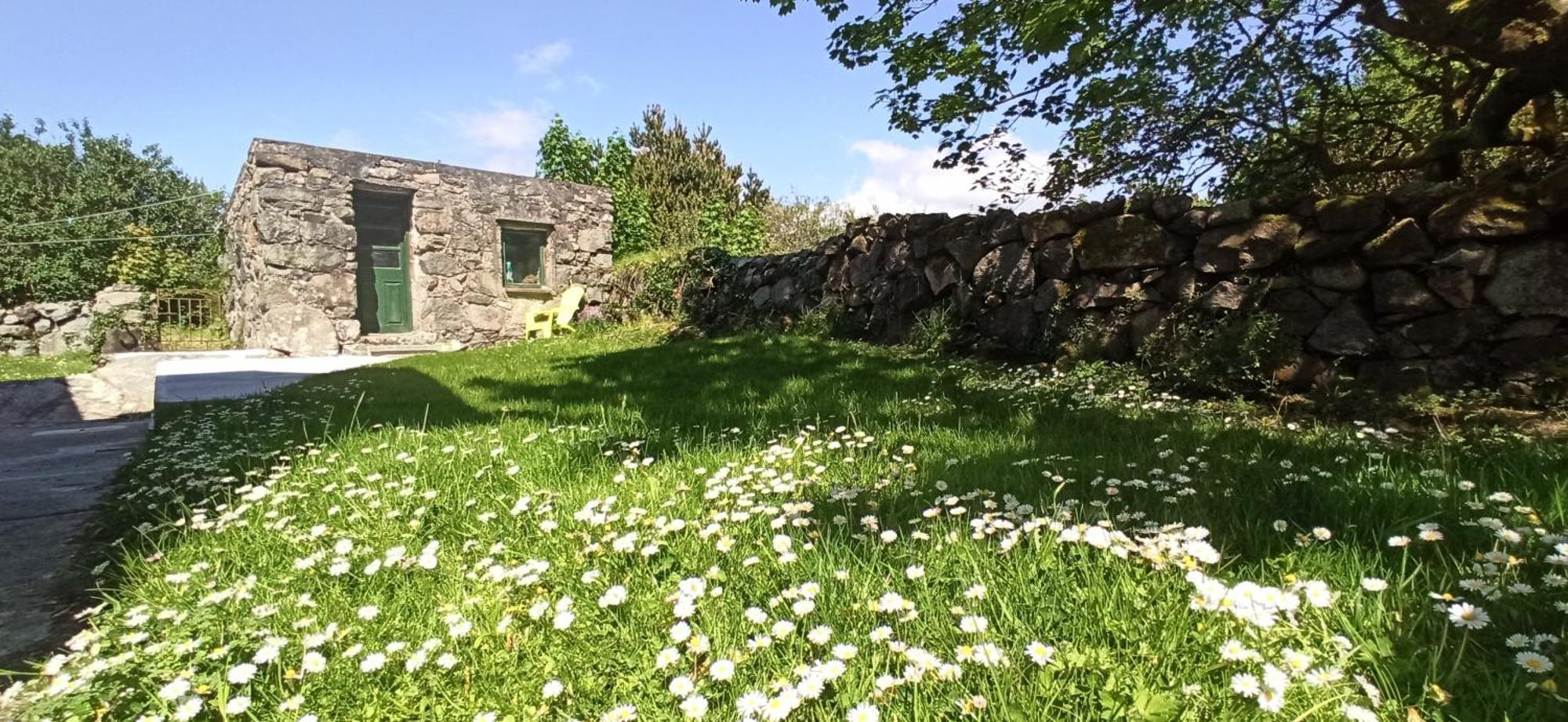 Atlantic Way Cottage Galway Værelse billede